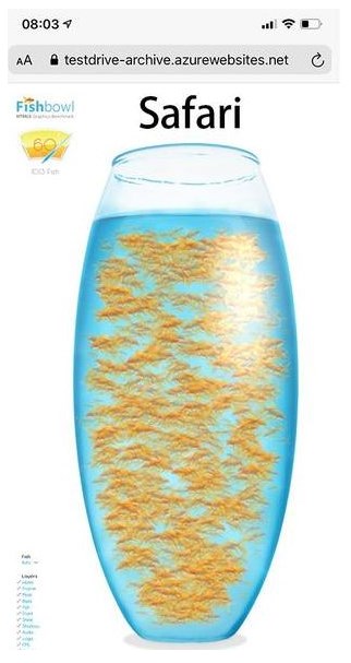 fishbowl6.25
