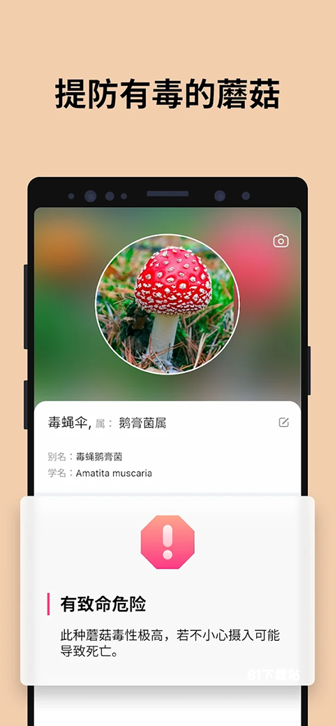 蘑菇识别扫一扫