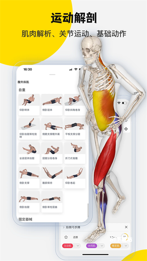 3Dbody