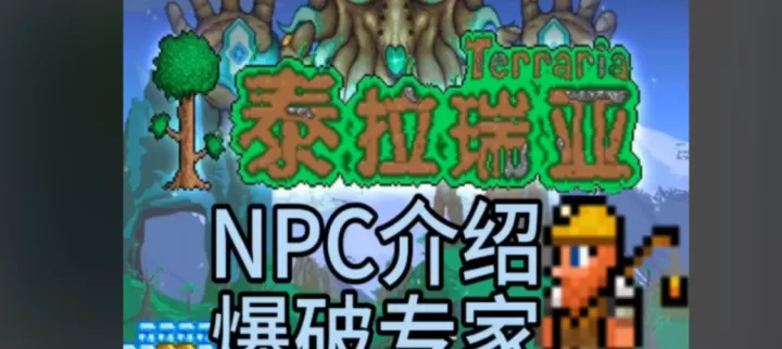 泰拉瑞亚洞穴居住地npc怎么安排_https://m.81xiazai.com_游戏攻略_第3张