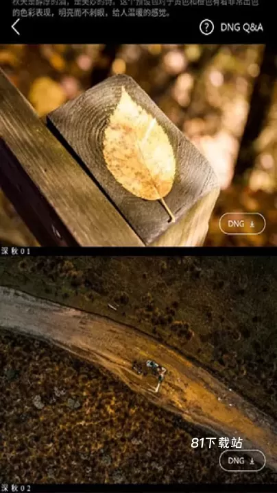 Koloro滤镜大师调色_https://m.81xiazai.com_摄影图像_第3张