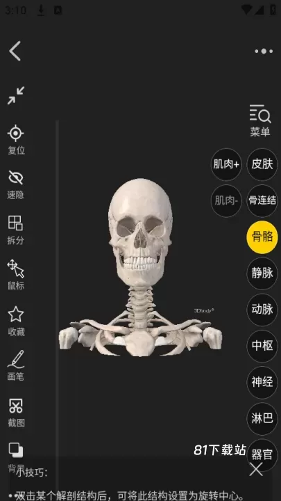 3Dbody_https://m.81xiazai.com_学习办公_第3张