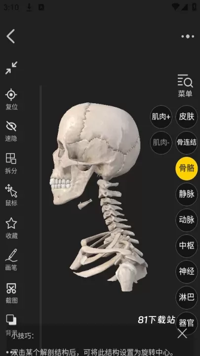 3Dbody_https://m.81xiazai.com_学习办公_第4张