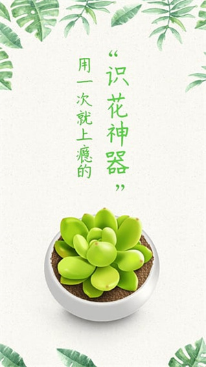 形色