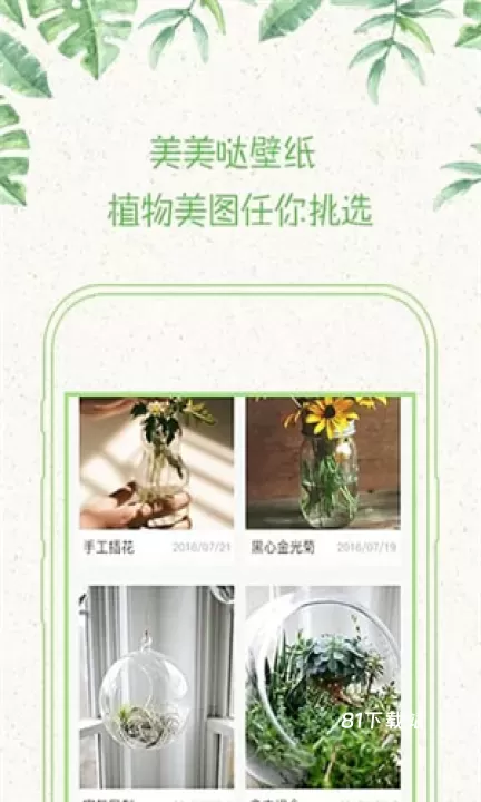 形色_https://m.81xiazai.com_摄影图像_第2张