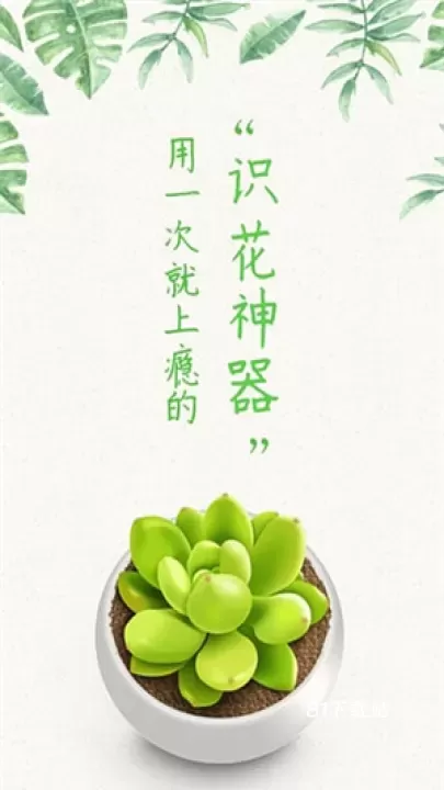 形色_https://m.81xiazai.com_摄影图像_第3张