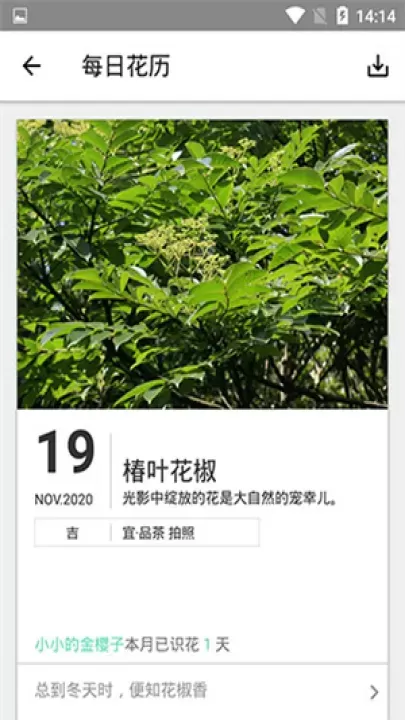 形色_https://m.81xiazai.com_摄影图像_第4张